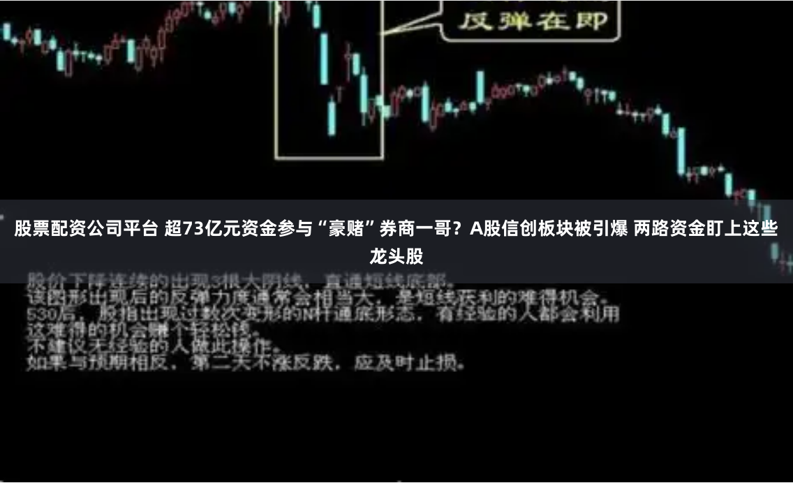 股票配资公司平台 超73亿元资金参与“豪赌”券商一哥？A股信创板块被引爆 两路资金盯上这些龙头股