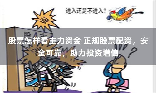 股票怎样看主力资金 正规股票配资，安全可靠，助力投资增值